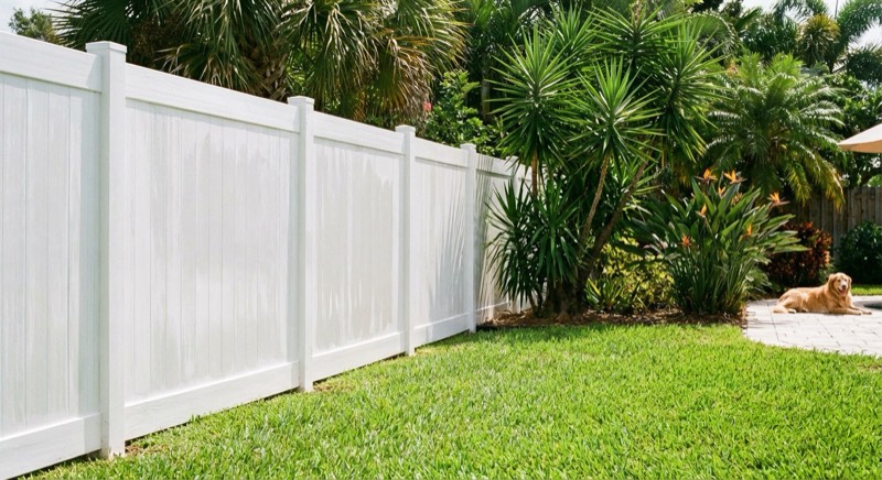 Fence painting and staining services